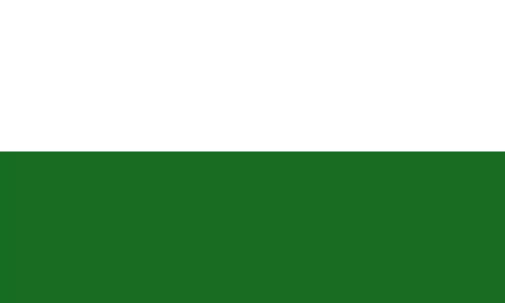 Online Quran classes in Saxony for students in Dresden, Leipzig, and Chemnitz by AlQuranDesk