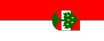 Online Quran classes in Dornbirn with Tajweed, Tafseer and Hifz