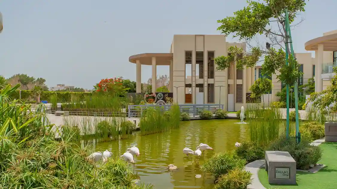 Online Quran teachers in Zallaq offering Hifz, Tafseer, Noorani Qaida, and Dua courses through AlQuran Desk Academy.