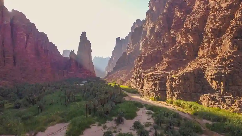 Online Quran teaching in Tabuk for children and adults with personalised lessons