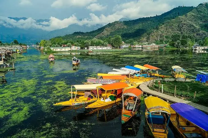 Online Quran Academy in Srinagar with qualified Quran teachers at AlQuranDesk