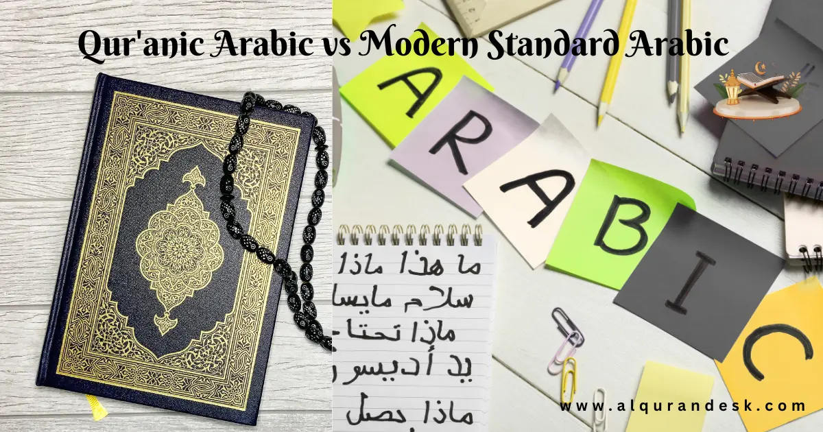 Qur’anic Arabic vs MSA key differences in vocabulary, grammar, usage, and learning goals